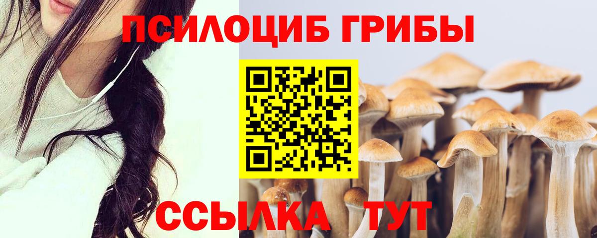 Псилоцибиновые грибы Psilocybe Приморско-Ахтарск
