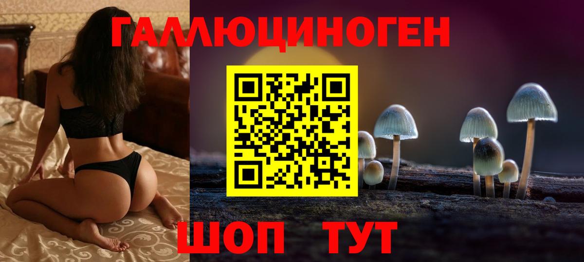 Псилоцибиновые грибы мухоморы  Псилоцибиновые грибы GOLDEN TEACHER  Приморско-Ахтарск  Вход с VPN 